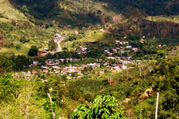 Tuis, Turrialba